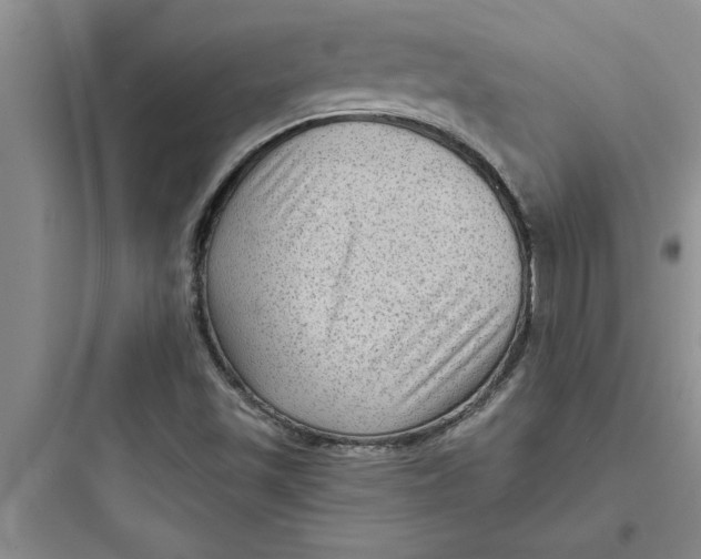 X0000097611501200803211711