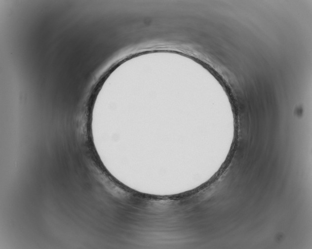 X0000097611502200803211711