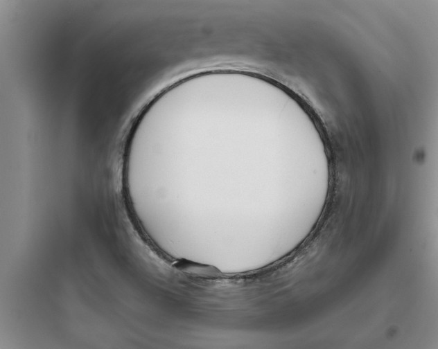 X0000097611504200803211711