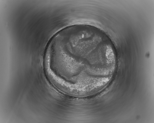 X0000097611505200803211711