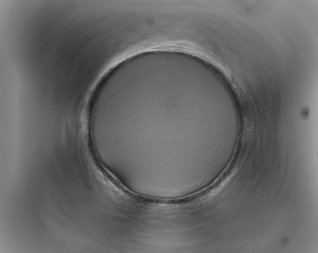 X0000097611506200803211711