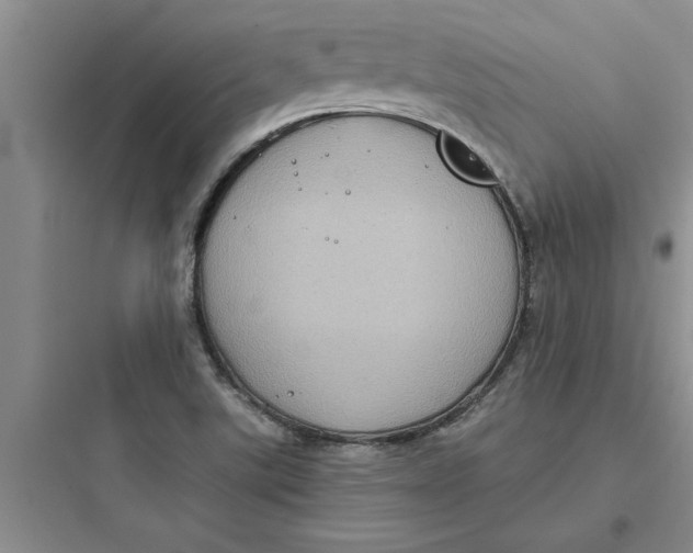 X0000097611507200803211711