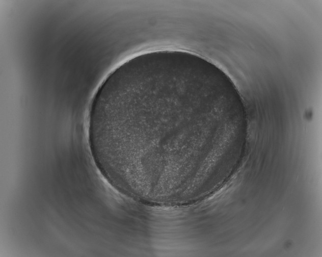 X0000097611508200803211711