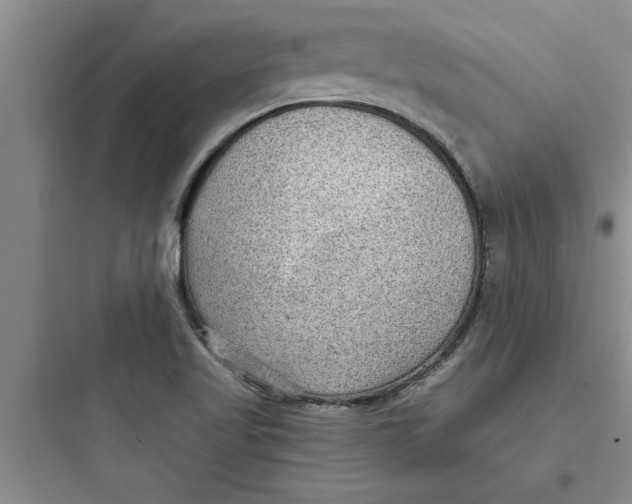 X0000097611509200803211711