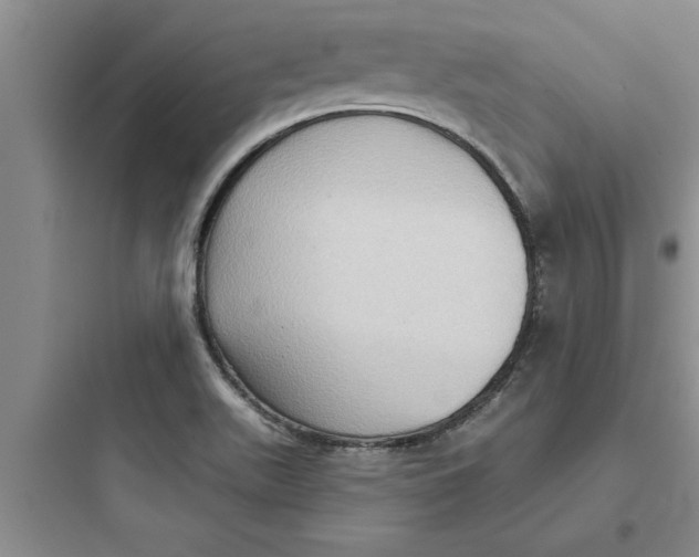 X0000097611511200803211711