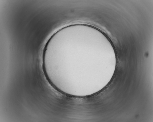 X0000097611512200803211711