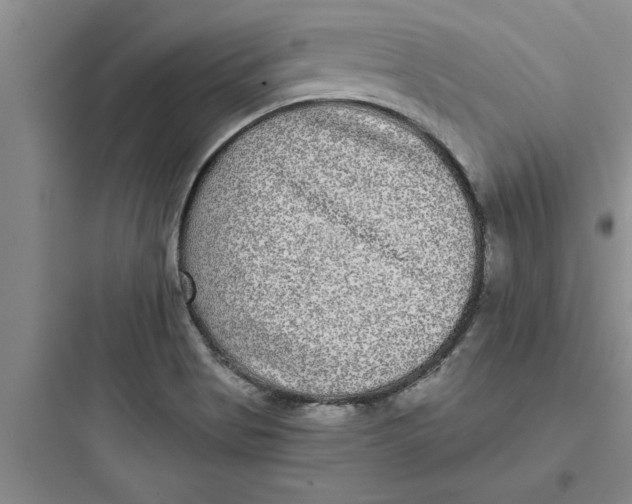 X0000097611513200803211711