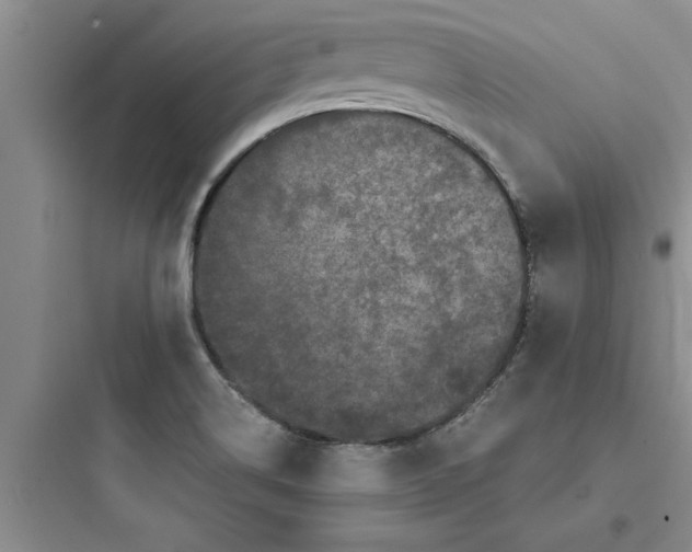 X0000097611514200803211711