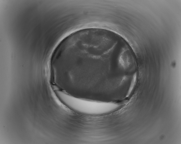 X0000097611515200803211711