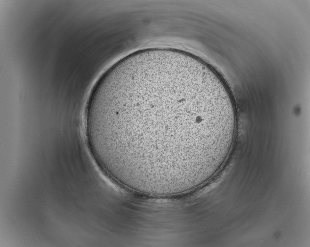 X0000097611517200803211711