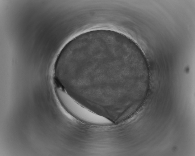 X0000097611519200803211711