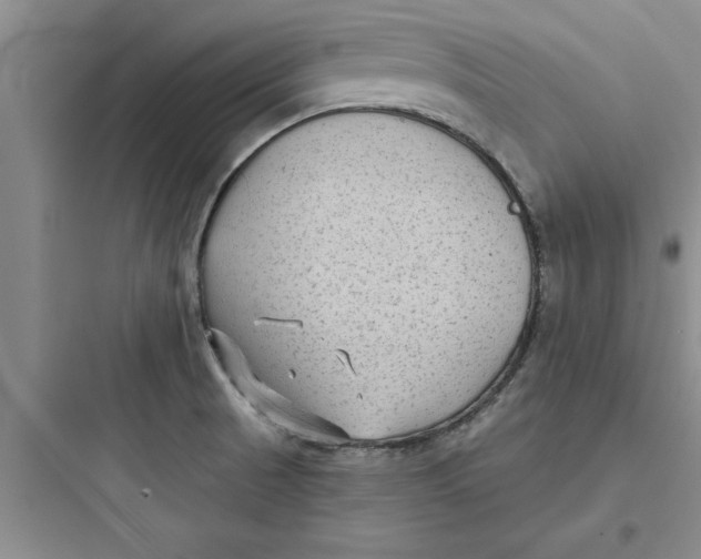 X0000097611521200803211711