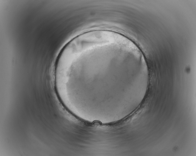 X0000097611522200803211711