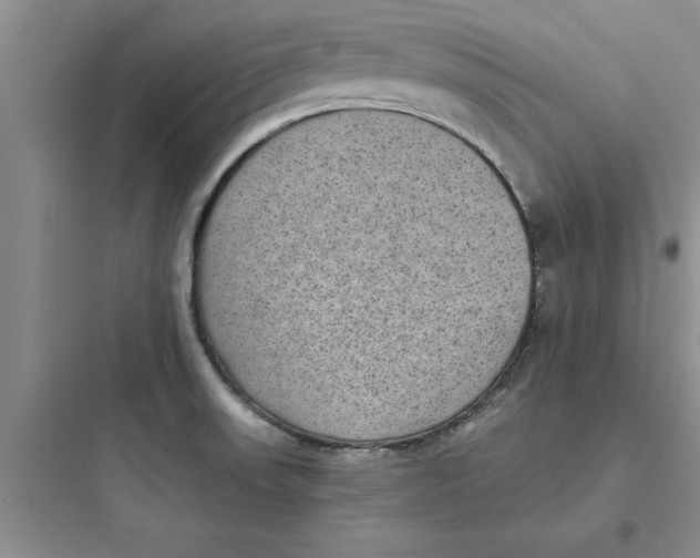 X0000097611523200803211711