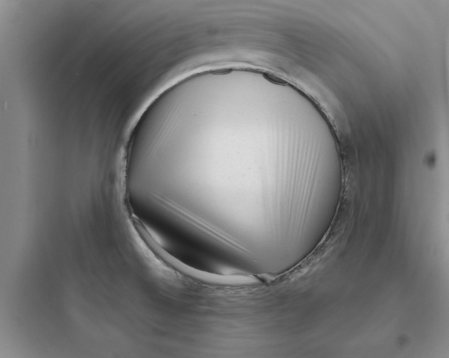 X0000097611524200803211711