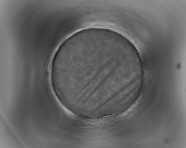 X0000097611525200803211711