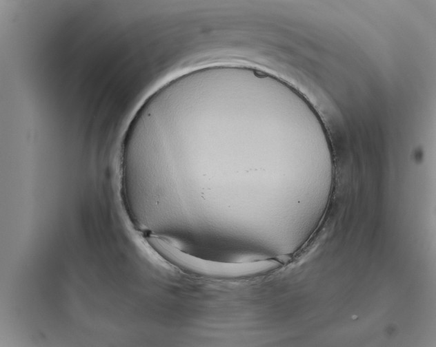 X0000097611526200803211711