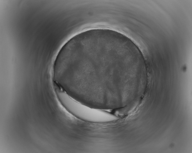 X0000097611527200803211711