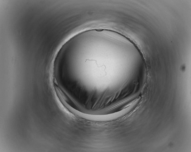 X0000097611528200803211711