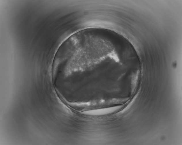 X0000097611529200803211711