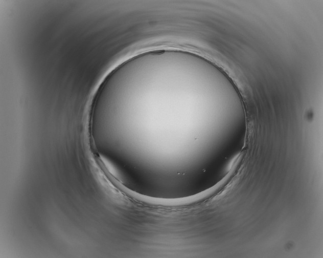 X0000097611530200803211711