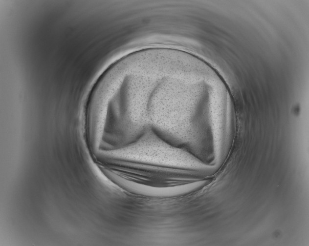 X0000097611531200803211711