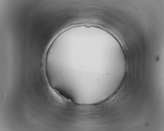 X0000097611532200803211711