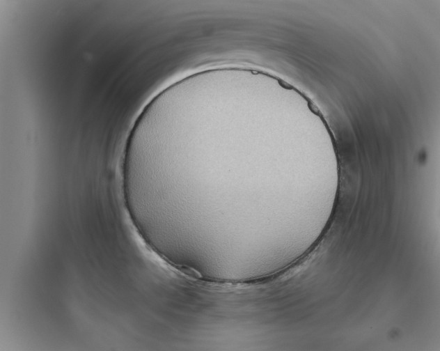 X0000097611534200803211711