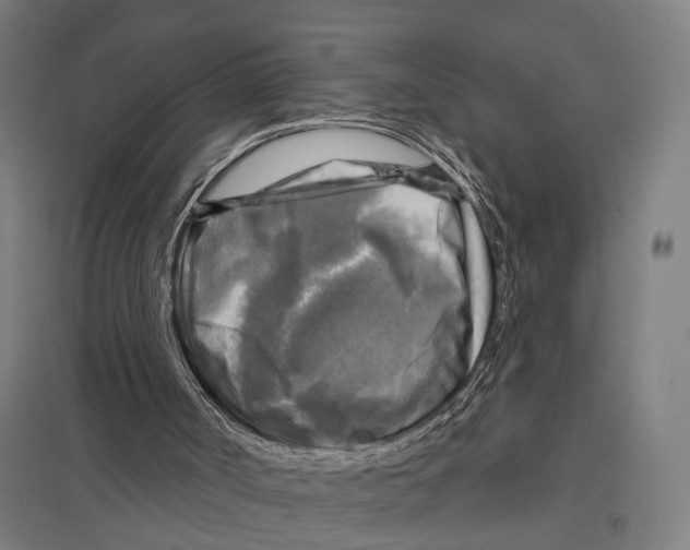 X0000097610002200803281024