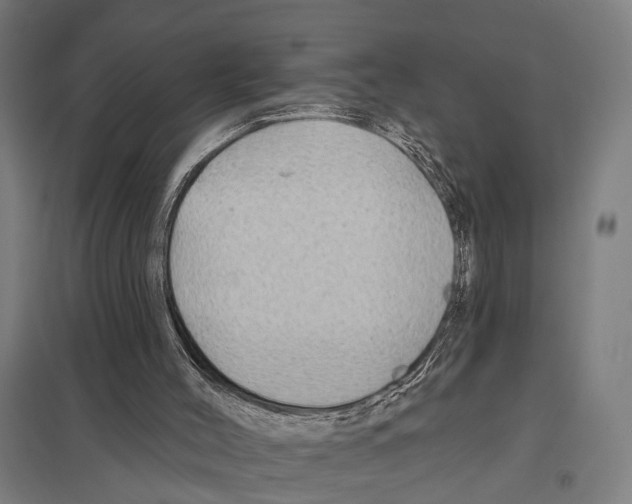 X0000097610004200803281024