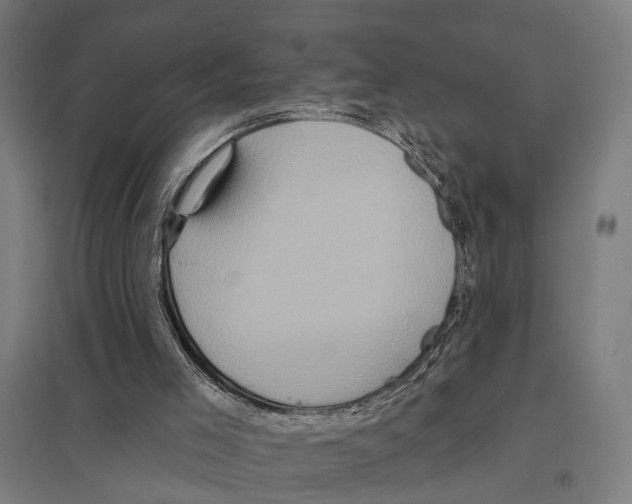 X0000097610005200803281024