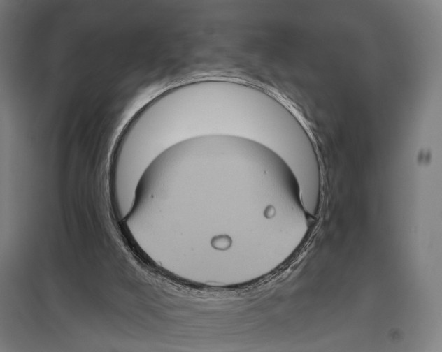 X0000097610008200803281024