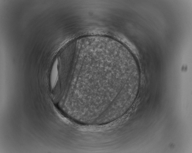 X0000097610009200803281024