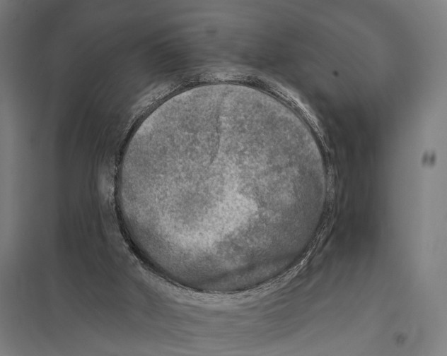 X0000097610010200803281024