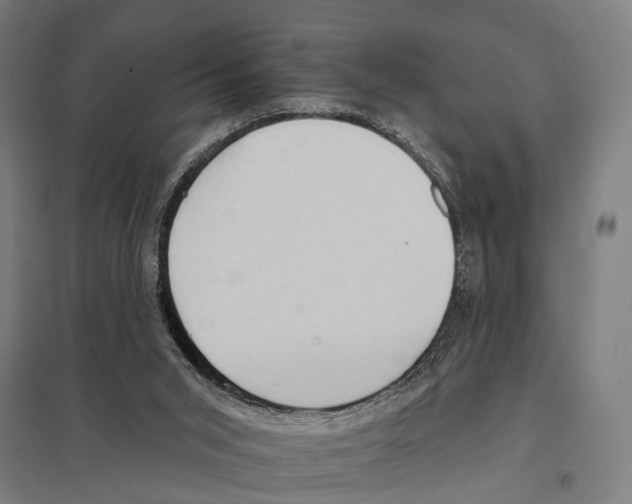 X0000097610015200803281024