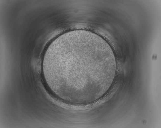 X0000097610016200803281024