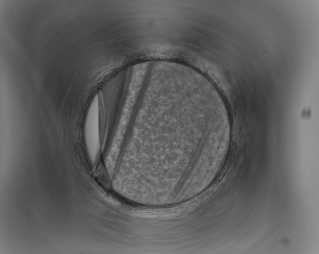 X0000097610017200803281024