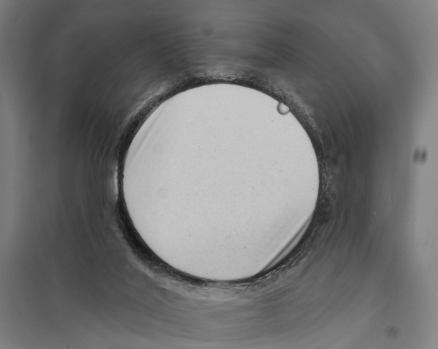 X0000097610020200803281024