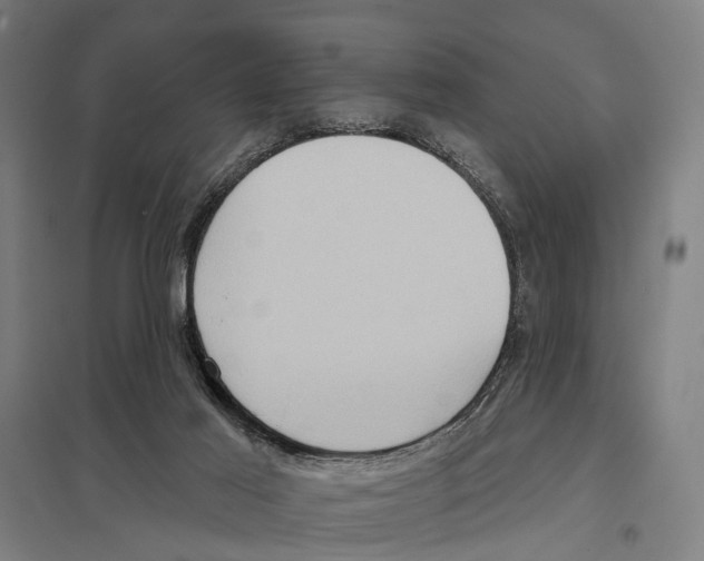 X0000097610021200803281024