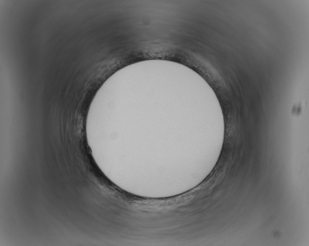 X0000097610025200803281024