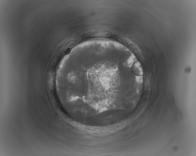 X0000097610026200803281024