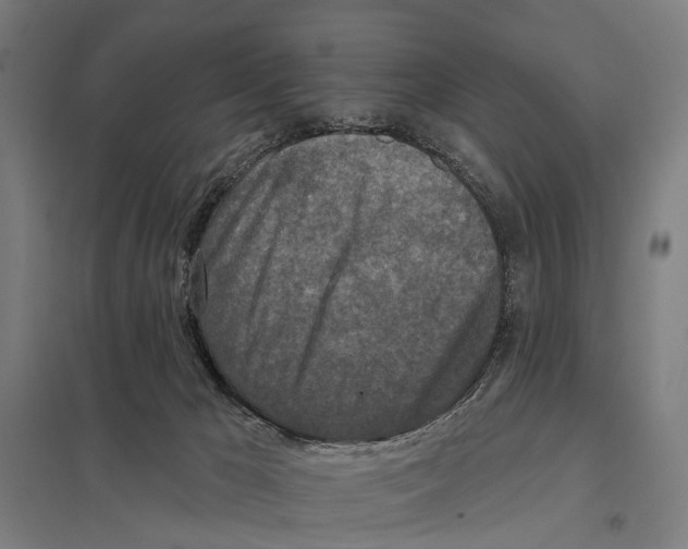 X0000097610029200803281024