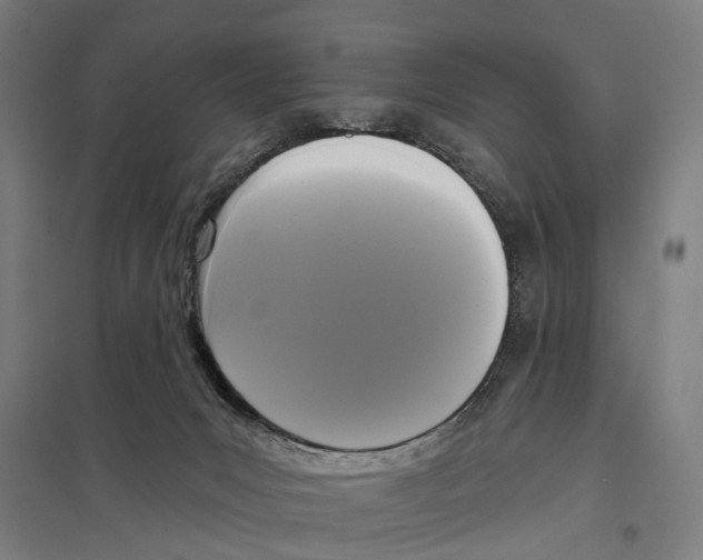 X0000097610031200803281024