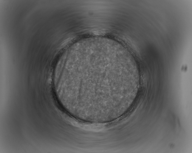 X0000097610032200803281024