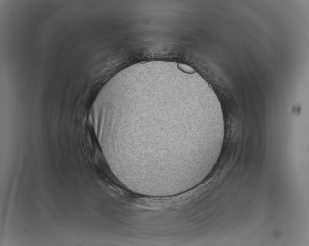 X0000097610033200803281024