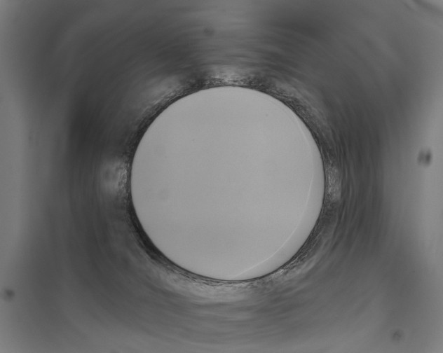 X0000097610036200803281023