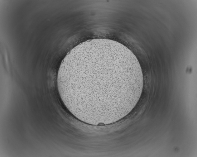 X0000097610038200803281023