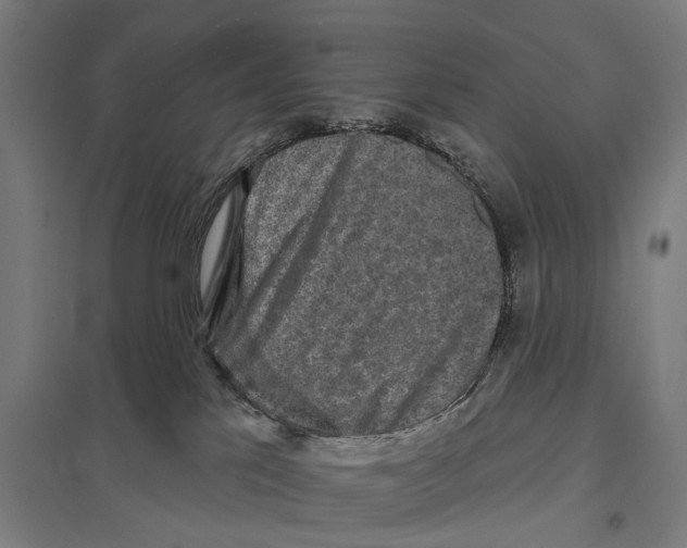 X0000097610041200803281023