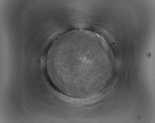 X0000097610043200803281023