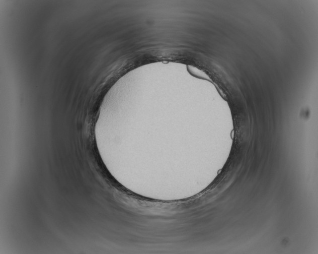 X0000097610044200803281023